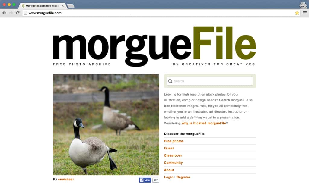 morguefile, free stock photos