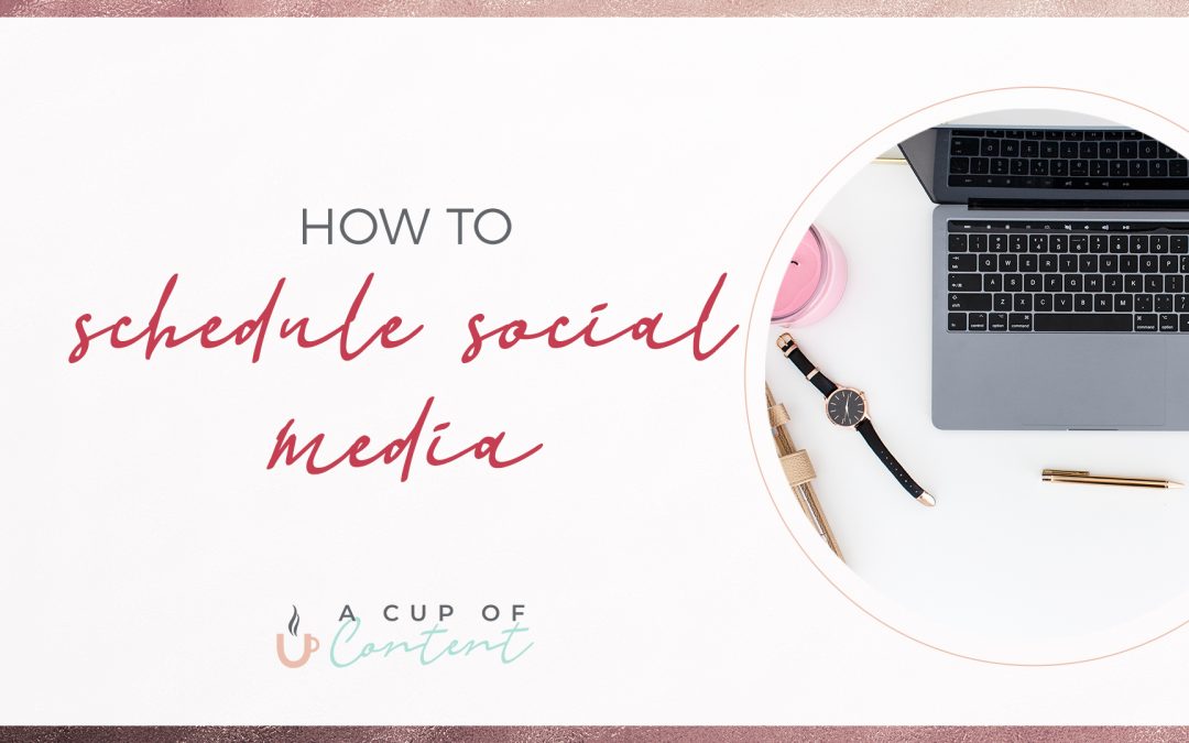 blog post cover image for a cup of content's blog "how to schedule social media"